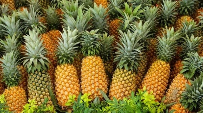 Dứa hỗ trợ tăng chức năng thận nhờ bromelain