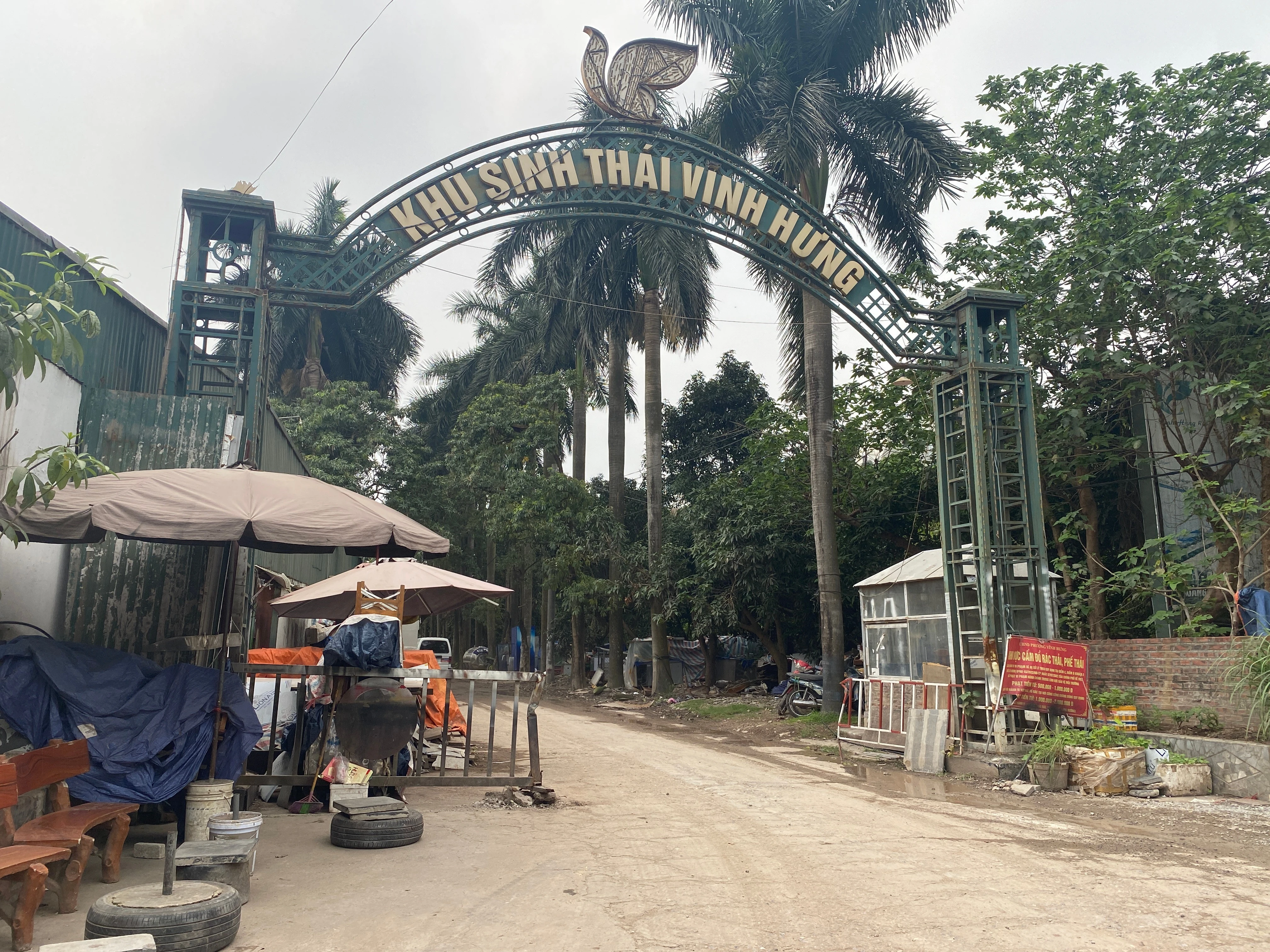 Bên trong khu sinh thái 15ha hoang tàn giữa lòng Hà Nội