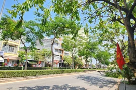 TP HCM: Cây phượng bật gốc chắn ngang đường Phạm Huy Thông sáng mùng 6 Tết