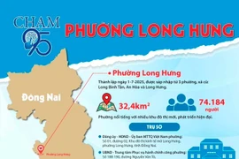 Long Hưng: Toyota Biên Hòa "một mình một ngựa" trúng gói thầu mua xe ô tô 8 chỗ