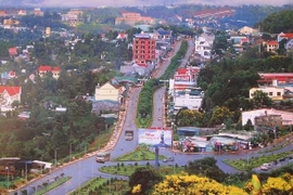 Đắk Nông: Doanh nghiệp ‘siêu nhỏ’ trúng loạt gói thầu hàng chục tỷ đồng