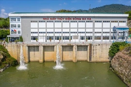 Lật lại hồ sơ đấu thầu 2025 của Công ty S5T Việt Nam: Những con số biết nói [Kỳ 2] 