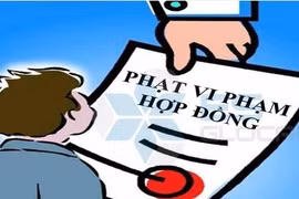 Nhà thầu Công Nghệ Mới: Trúng nhiều, tai tiếng không ít