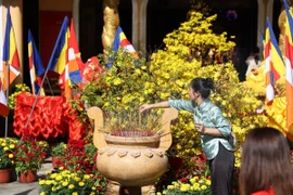 TP HCM: Người dân rạng rỡ đi lễ chùa cầu an sáng mùng 1 Tết Bính Ngọ