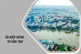Cần Thơ: Xây dựng Ngọc Sương trúng gói thầu hơn 1,6 tỷ đồng tại xã Hiệp Hưng