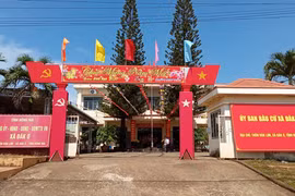 Công ty Trường Thành: Nhà thầu “bất bại” với lịch sử trúng thầu dày đặc [Kỳ 2]