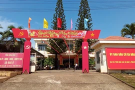 Công ty Trường Thành: Nhà thầu “bất bại” với lịch sử trúng thầu dày đặc [Kỳ 2]