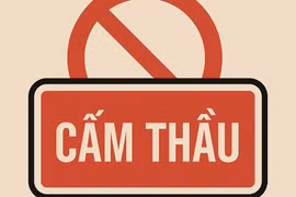 Thanh Hóa: Gian lận bằng giả, một liên danh bị loại tại gói thầu 467 tỷ đồng