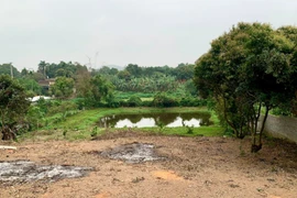 Từ 2026: Những quy định mới về Đất đai, Xây dựng người dân cần biết