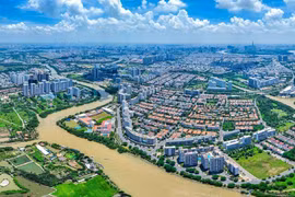 Đấu thầu "sân nhà" tại Ban QLDA ĐTXD khu vực Quận 7: Chuyên gia nói gì?