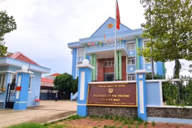 Cà Mau xử lý trách nhiệm người đứng đầu để lãng phí tài sản