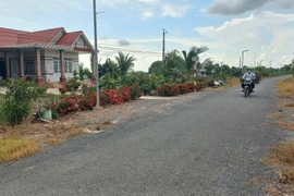 Năng lực nhà thầu Nguyễn Hoàng Huy và bài toán trách nhiệm giải trình [Kỳ 3]