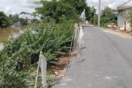 Gói thầu gần 5 tỷ tại An Giang: Kịch tính phút chót và 3 nhà thầu tham gia