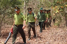 Công ty xây dựng Tín Lộc được chỉ định thầu: Năng lực thật và tỷ lệ tiết kiệm?