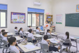 Gói thầu thiết bị giáo dục tại Quảng Trị: Kịch bản "một mình một ngựa" và hồ sơ năng lực của Thiên Bình 