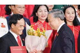 Ông Trần Lưu Quang tiếp tục được chỉ định làm Bí thư Thành ủy TPHCM