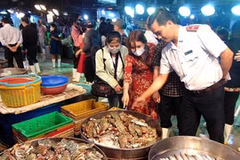 TP HCM triển khai Tháng hành động vì an toàn thực phẩm 2026