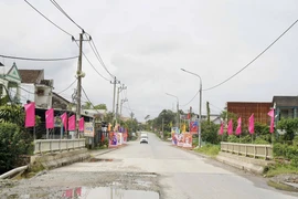 Năng lực "khủng" của Công ty Hai Liên: Trúng thầu tuyệt đối 100% [Kỳ 1]