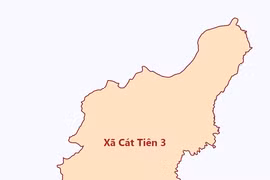 Công ty Khang Lộc Cát Tiên: Trúng 79 gói thầu và mối quan hệ với các bên mời thầu [Kỳ 2]