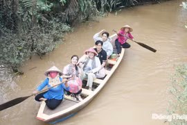 Du khách đi đò chèo tại cù lao Thới Sơn.