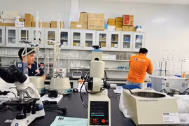 Công ty Cổ phần Thi Trần trúng gói thầu hơn 2 tỷ đồng tại Đồng Tháp [Kỳ 1]