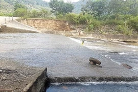 Lâm Đồng: Xây dựng Tánh Linh liên tiếp trúng thầu tại xã Suối Kiết