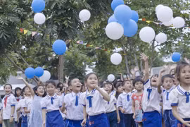 Một ngày trúng 3 gói thầu sữa, thực phẩm: Công ty TKN có năng lực ra sao?