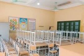 Hoạt động của Công ty Thái Dương: "Nghịch lý" tỷ lệ tiết kiệm [Kỳ 2] 