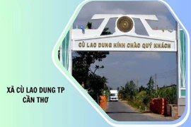 Công ty Cổ phần Xây dựng 9 và chuỗi trúng thầu ấn tượng tại Cần Thơ [Kỳ 1]