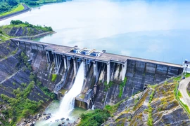 Công ty TB Hydro Việt Nam liên tiếp trúng thầu: Năng lực khủng thế nào?