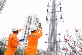 Gian lận tại gói thầu 110kV: Năng lượng An Khánh bị cấm thầu 3 năm