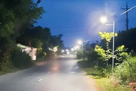 Đấu thầu tại Đông Hải: Vì sao liên danh Nguyễn Kiệt - Phước Đại Lợi luôn thắng?