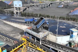 Công ty tư vấn quy hoạch Cẩm Phả: Trúng thầu sát giá, đối thủ trượt vì lỗi sơ đẳng 