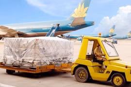 Gói thầu tại NCTS: Vì sao 'nhà thầu ruột' AVPM lại 'ngã ngựa'?