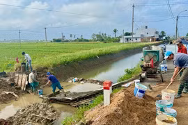 Ảnh minh họa. Nguồn IT