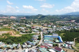 "Soi" lý do đối thủ bị loại tại các gói thầu của Công ty Tá Lợi [Kỳ 2]