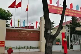 Nhà thầu Đại Tín Nghĩa: Tỷ lệ trúng thầu "khủng" và dấu hỏi về hiệu quả kinh tế [Kỳ 2] 