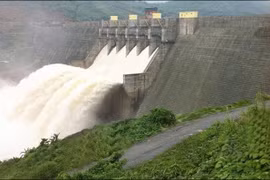 Đấu thầu Thủy điện Đa Nhim: Tiết kiệm hơn 2 tỷ đồng, giá trúng thầu giảm 32%