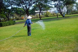 Đồng Nai: 5 nhà thầu cạnh tranh gói chăm sóc cây xanh hơn 11 tỷ tại Nhơn Trạch