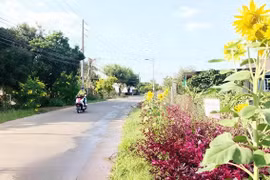 Công ty Hùng Vương một mình "về đích" gói thầu hơn 54 tỷ đồng ở Đồng Nai