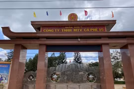 Gói thầu Cà phê 15: Đối thủ bị loại, Trường An lại thắng sát giá