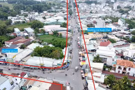 Gói thầu cây xanh 831 triệu: Đính chính hồ sơ vì lỗi "ĐK cổ rễ 6-7m" thành "6-7cm"