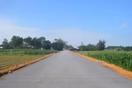 Xây dựng Hồng Hậu bị loại vì lỗi "sơ đẳng": Quên nộp thuyết minh biện pháp thi công [Kỳ 2]