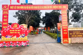 Quảng Ngãi: Đấu thầu tại cấp xã, hiệu quả kinh tế bị đặt dấu hỏi [Kỳ 3]