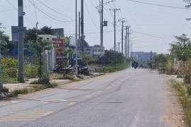 Đấu thầu 2025 của San lấp Bạc Liêu: Thắng ở 'sân nhà', trượt ở nơi khác