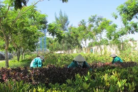 Mạo Khê: Làm rõ hồ sơ mời thầu gói chăm sóc cây xanh trị giá hơn 7,3 tỷ đồng 