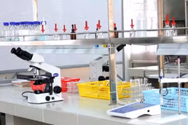 Công ty Thiết bị Giáo dục trúng thầu tại trường Amsterdam với tiết kiệm dưới 1% [Kỳ 1]