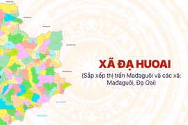 Lâm Đồng: Gói thầu trường học hơn 3,6 tỷ, liên danh Công ty Huy Điền trúng sát nút [Kỳ 1]