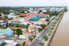 Doanh nghiệp 2 nhân viên trúng thầu dày đặc tại Vĩnh Long: Bài toán năng lực nằm ở đâu? [Kỳ 2]