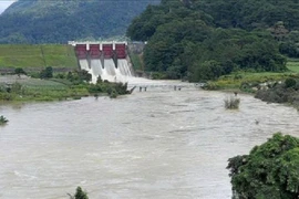 Cận cảnh gói thầu xe ô tô tại DHD: Cuộc đấu giá của hai "ông lớn" ô tô